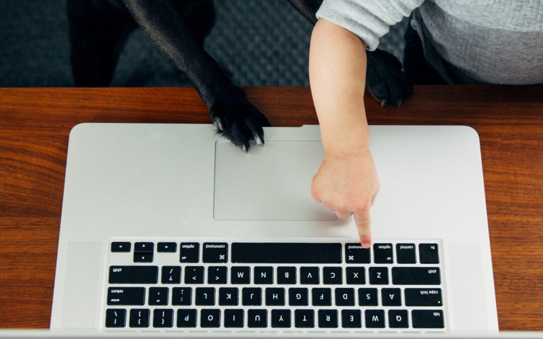 4 ways Digital Asset Management systems enable creative workflows for remote teams