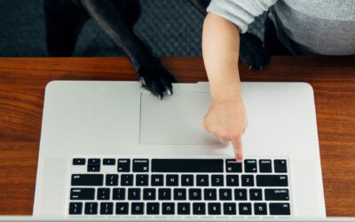 4 ways Digital Asset Management systems enable creative workflows for remote teams